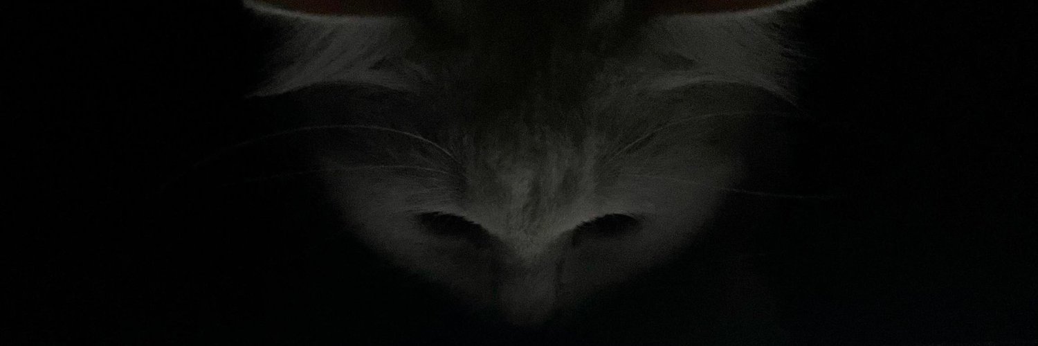 AlexeiCre's profile banner image