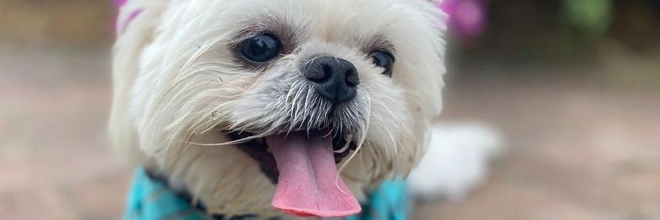 bivillacres's profile banner image