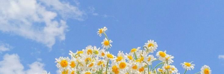 amalitapril's profile banner image