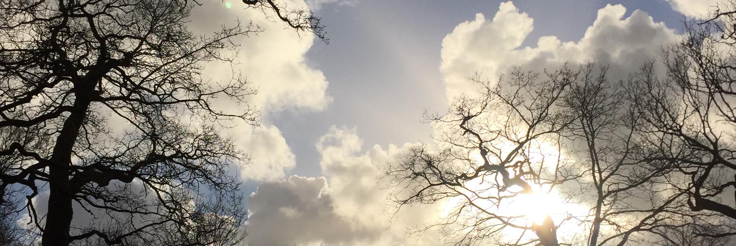 annaburrow's profile banner image