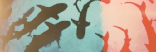 Le_ValeM's profile banner image
