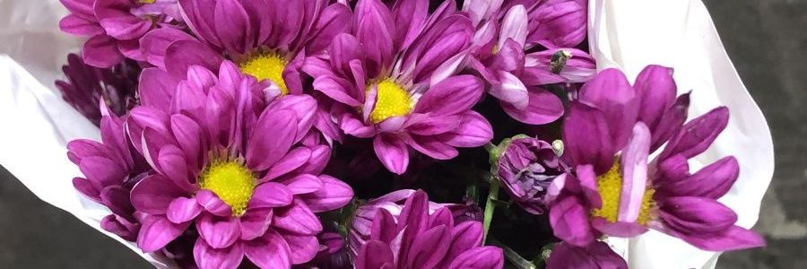 PinkanErna's profile banner image