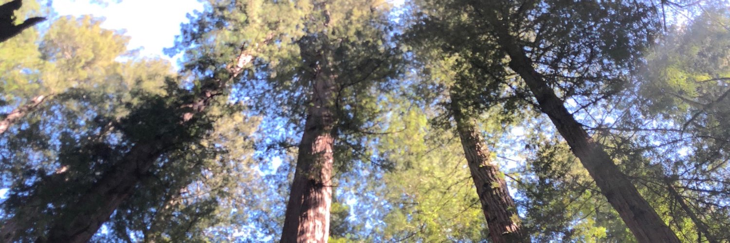 LexiMonnett's profile banner image