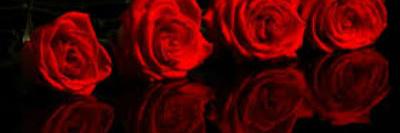 MsSonyaMcKinnie's profile banner image