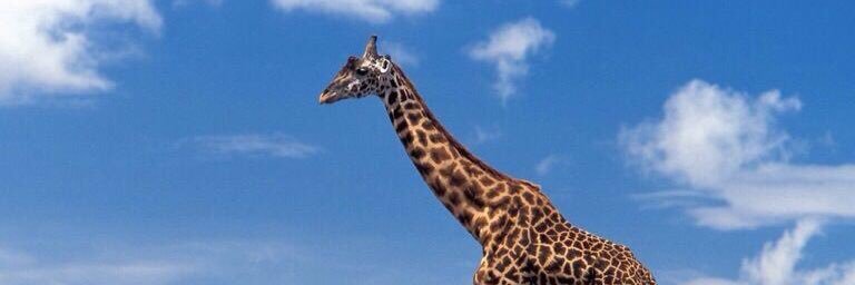 oh_uver's profile banner image