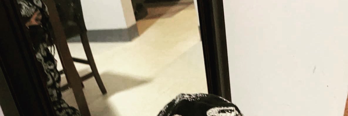 FredmanPedro's profile banner image