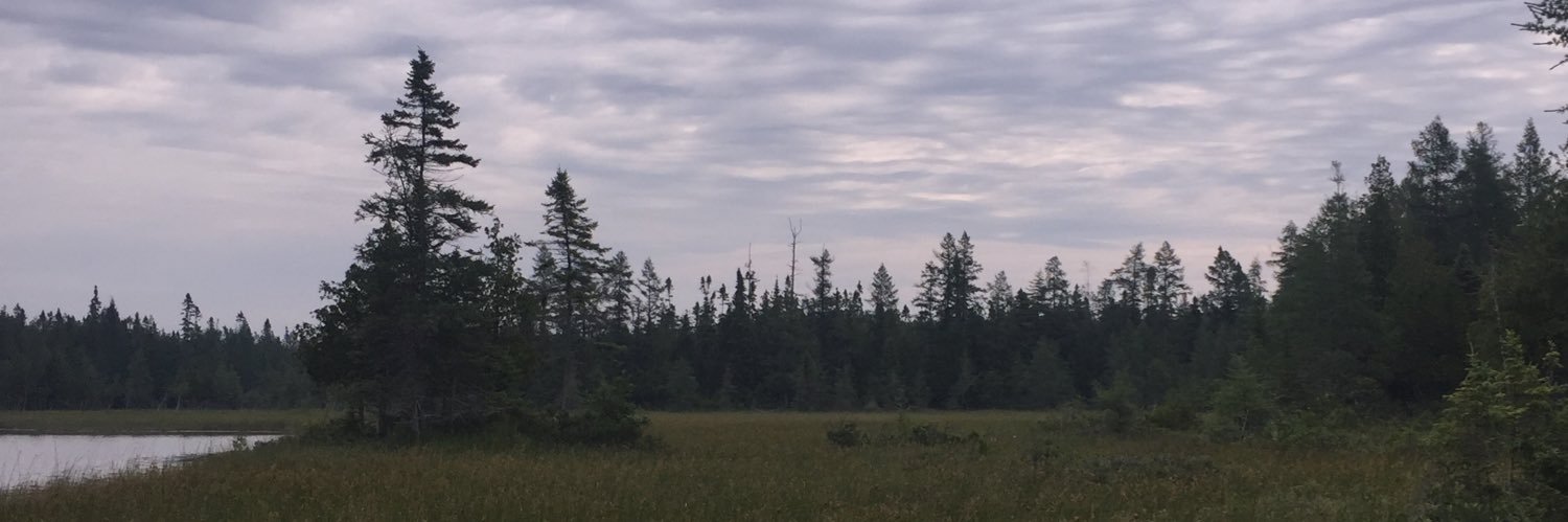 jwebster_10's profile banner image
