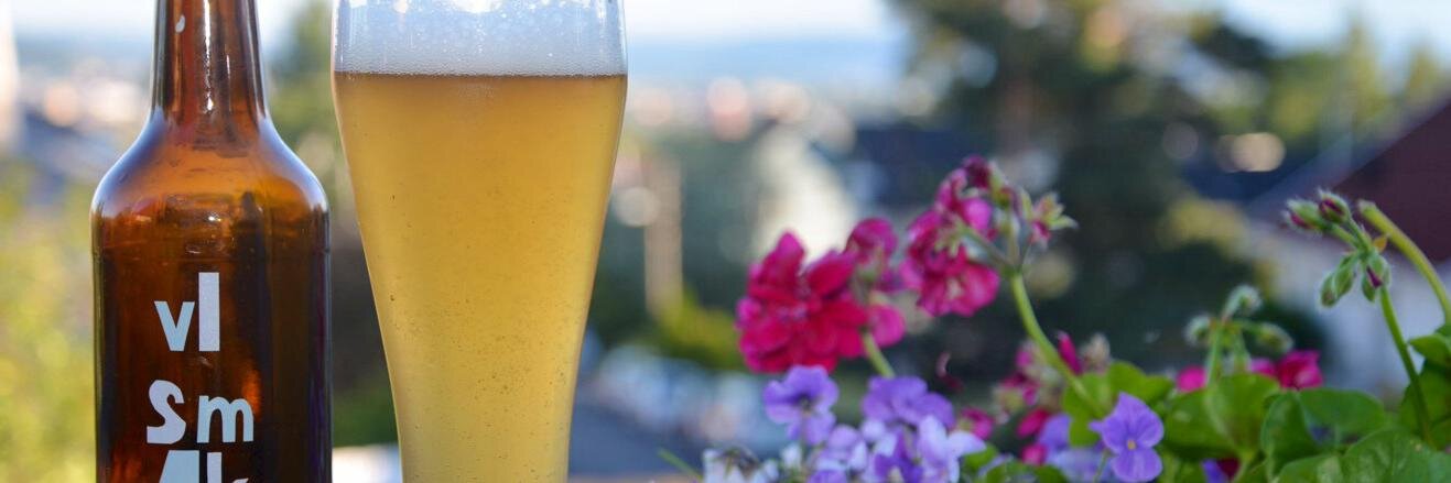 Bjørn Petter Hernes banner