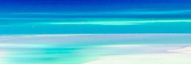 Eric981121's profile banner image