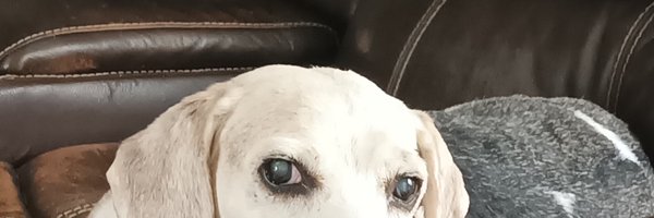 eternalliberal Profile Banner