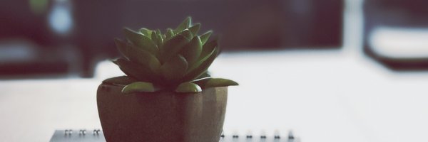 T4dp0l Profile Banner