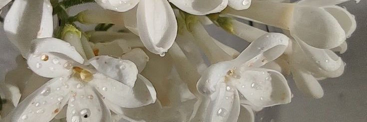 aaRxi_3's profile banner image