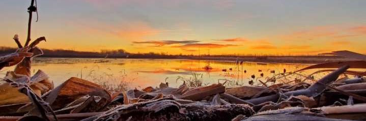 Cole Whitehill banner