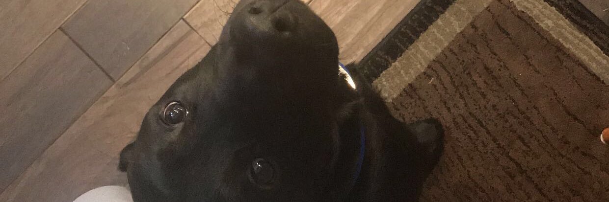 Mason_madzey's profile banner image