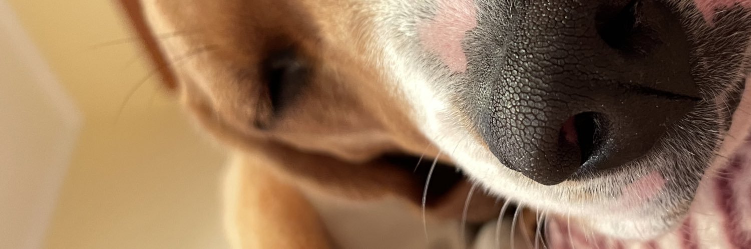 claudia__781's profile banner image