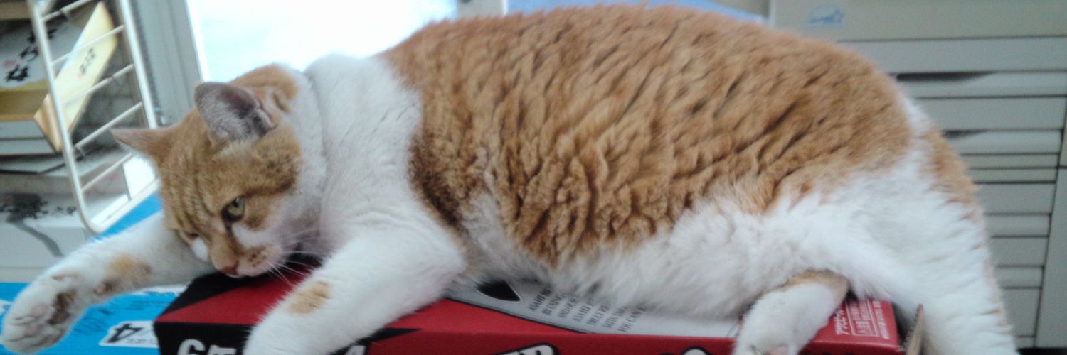 P_P_P_P_55's profile banner image