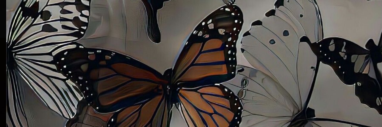 imtootieee's profile banner image
