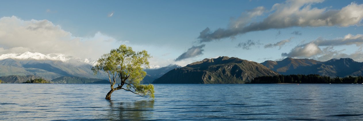JulianDruppel's profile banner image