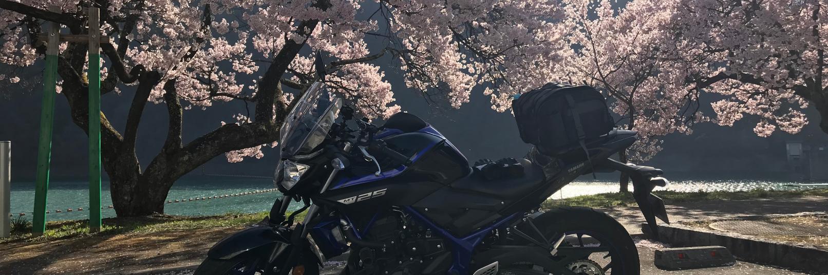 I_87252's profile banner image
