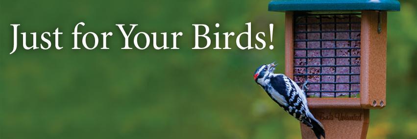 wbuedmonton's profile banner image