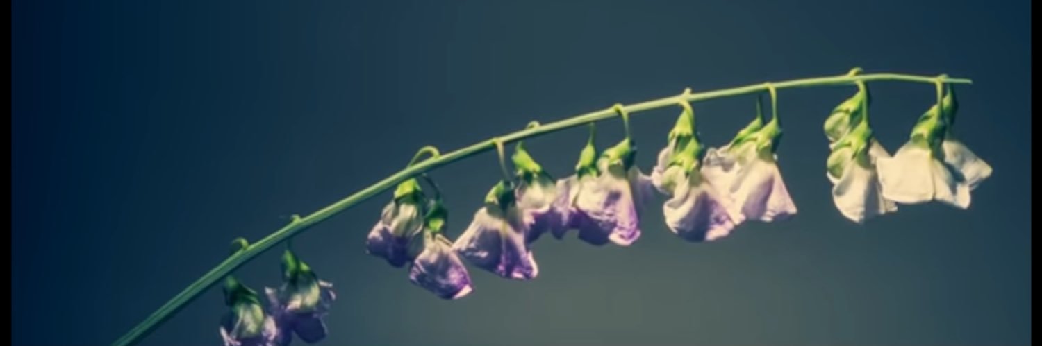 IT_revolution2's profile banner image