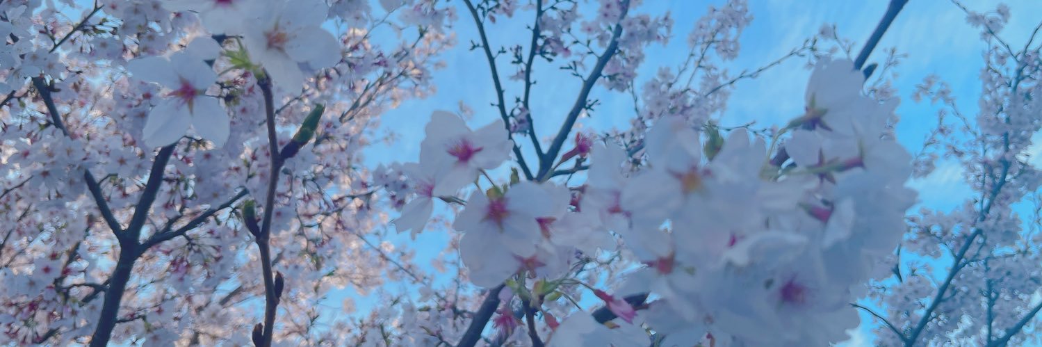 15Q10's profile banner image