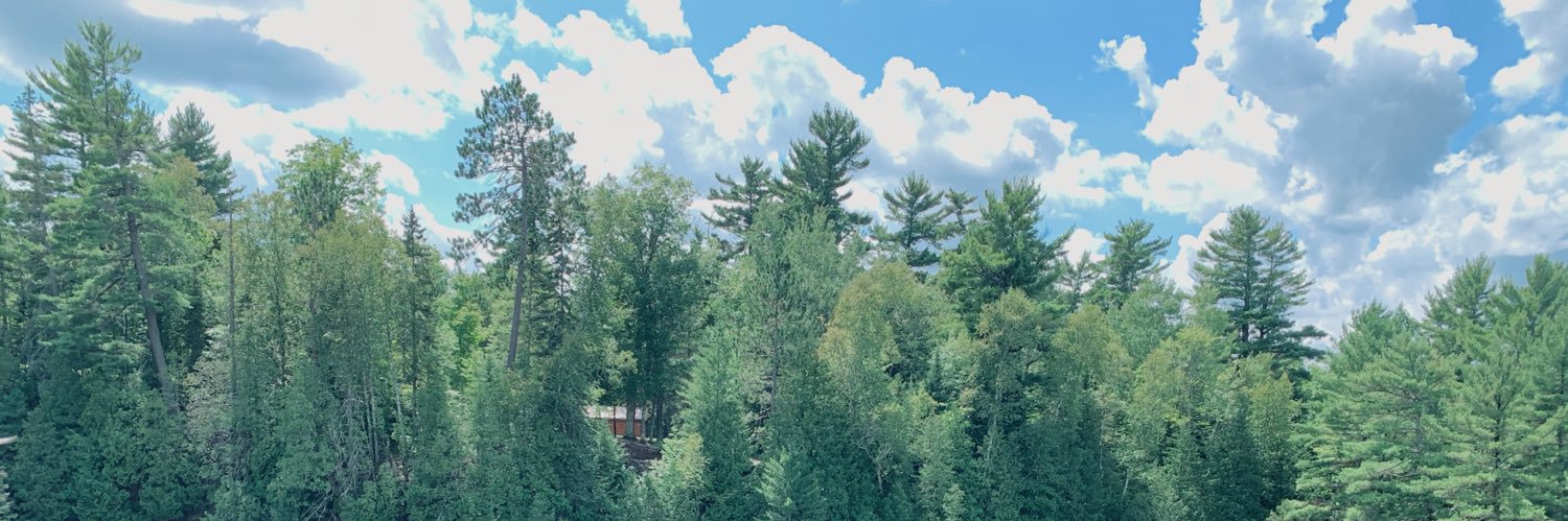 laytonpange's profile banner image