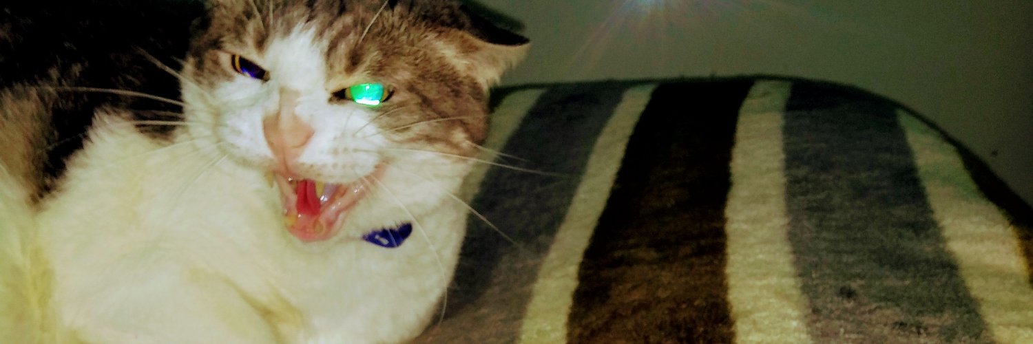 LeanMar5's profile banner image