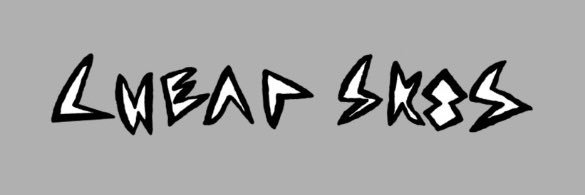 Cheap Sk8s banner