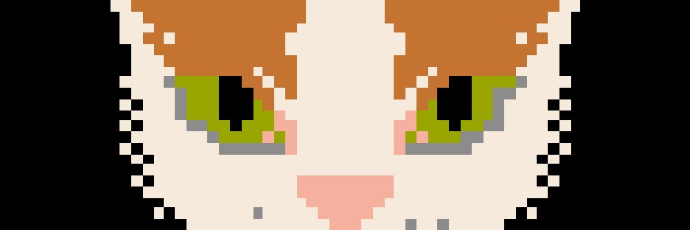 Conor Richard banner