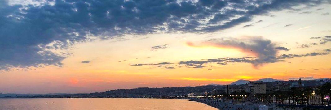 The Silver Fox banner