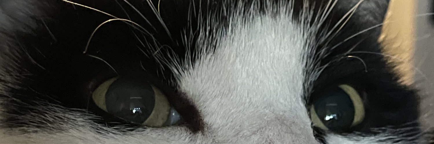 ZaynInRevolt's profile banner image