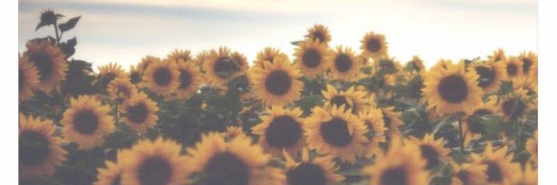 valebonillo5's profile banner image