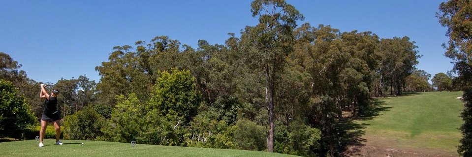 PHGC2's profile banner image