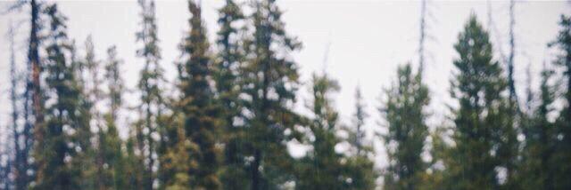 FragileLure's profile banner image