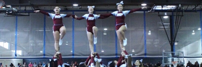 NCPCheer's profile banner image