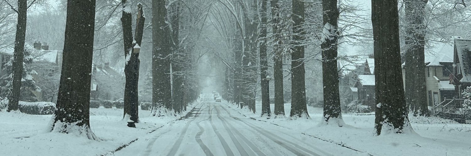 efflorescentxox's profile banner image