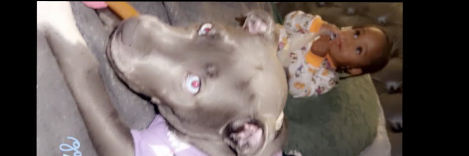 _Tylynn_x's profile banner image