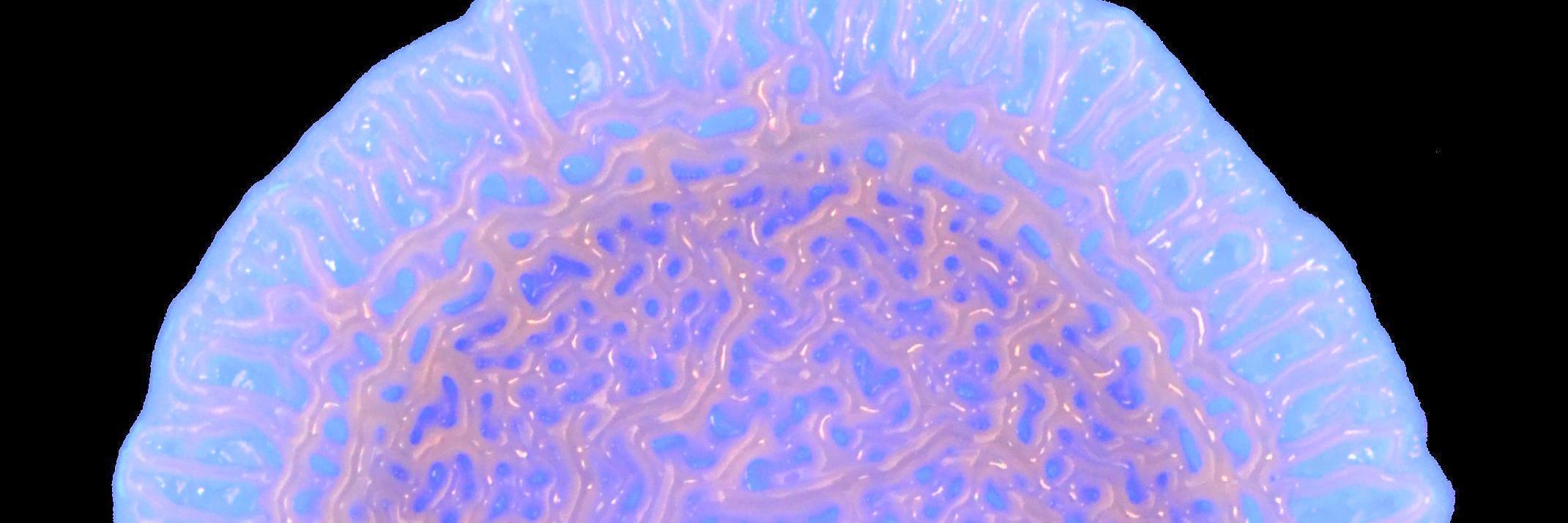 SeanBuskirk's profile banner image