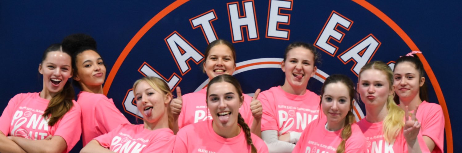 ladyhawksball's profile banner image