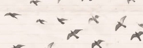 mandlesj's profile banner image