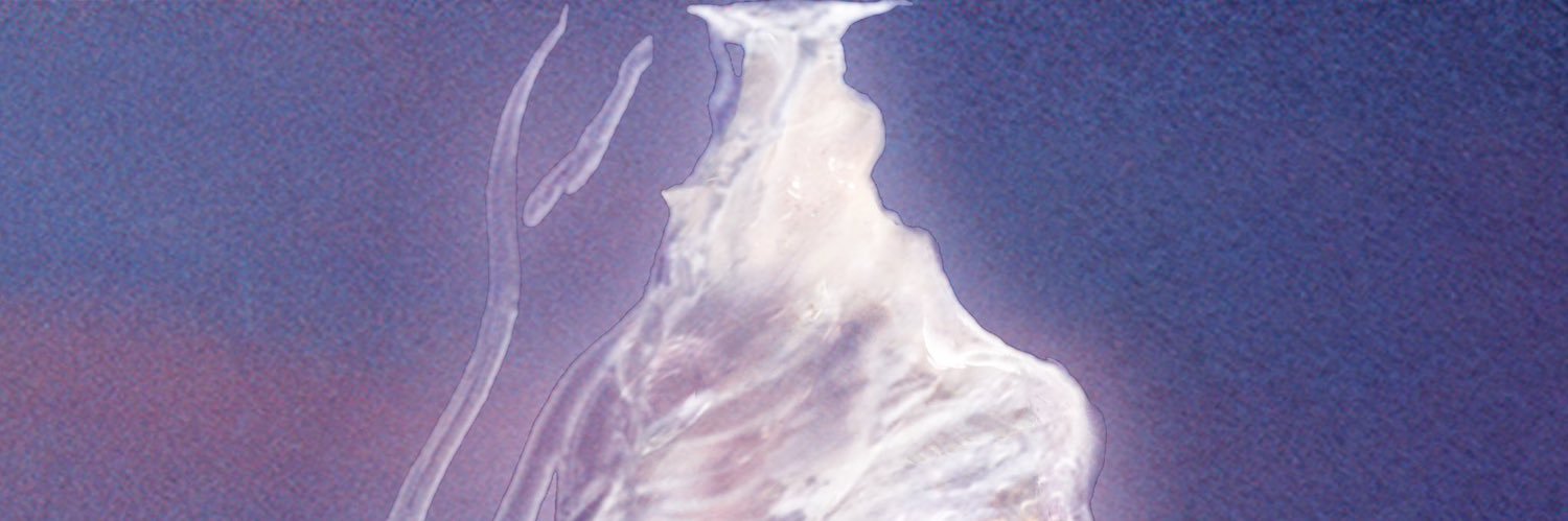 carnalflowermfc's profile banner image