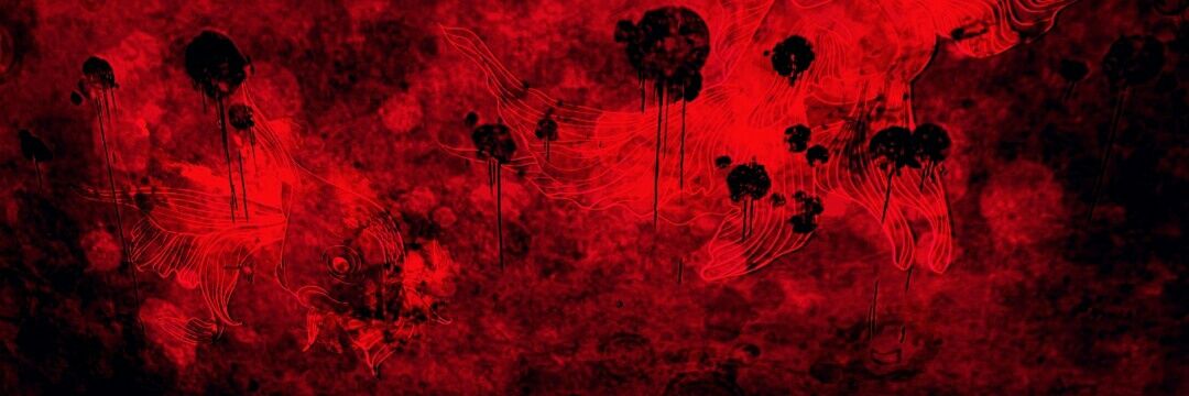 nikaidou158's profile banner image