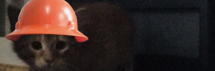 ericpara4's profile banner image
