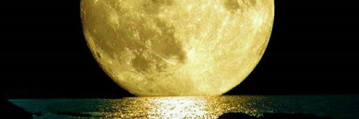 JassoZulema's profile banner image