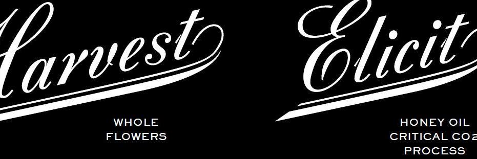 elevate_us's profile banner image