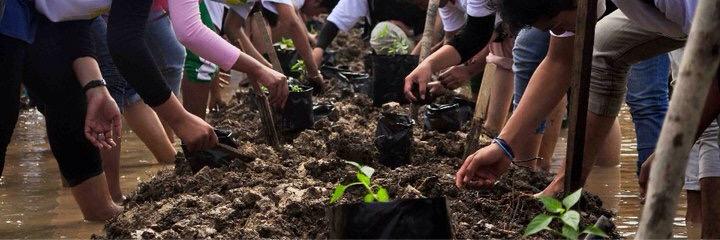 PtkBerkebun's profile banner image