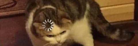 DongogexD's profile banner image