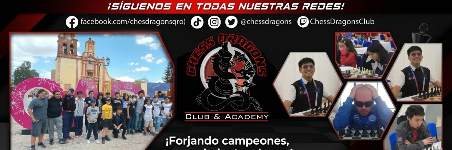 chessdragons's profile banner image