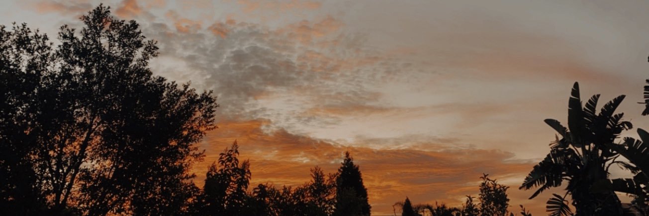 Ash Stent banner